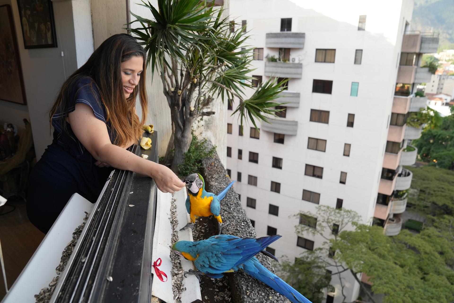 a woman feeding birds from her apartment window
