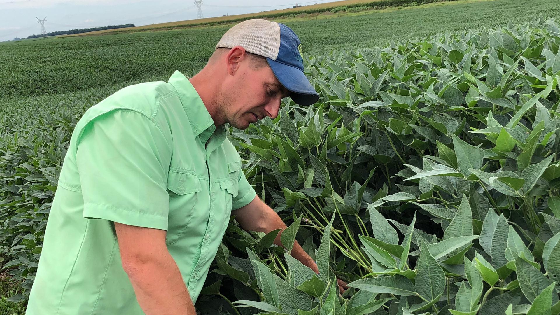 Soy farmers like Phil Sidles have seen prices for their soybeans fall sharply — down around 20 percent since May, not long after China announced retaliatory tariffs on American soybeans.