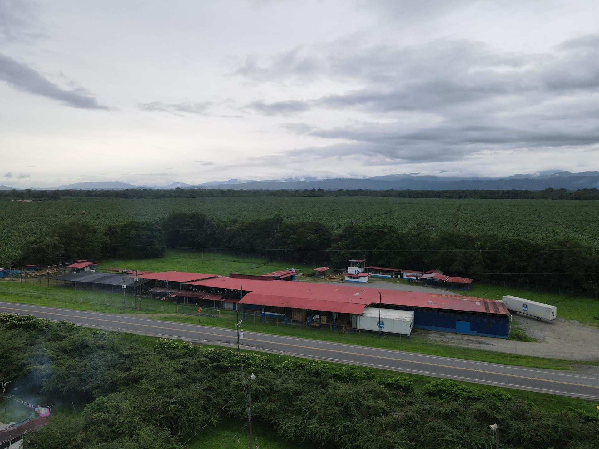 The packaging and distribution plant on Chiquita’s Tayrona farm in Costa Rica, near the Caribbean coast.
